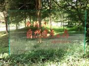 񂿂񂳂̊e쎩RY̐X̓eʐ^1