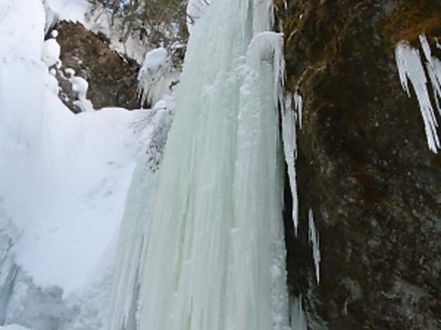 �X�m�[�V���[���g���Α��܂ōs���܂�_�O�{��