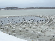 񂳂̃Nb`ΔȃLv̓eʐ^1