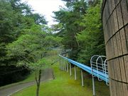 REJCpp̑]ɑ̓eʐ^1