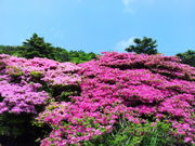 傤񂳂̐mcW]̓eʐ^2