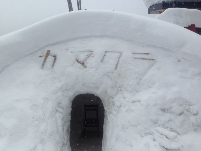 �J�}�N��_�A���v�X�X������