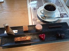 ���������̗R�z�@��z�̐X�@artegio�ւ̓��e�ʐ^1