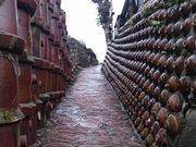 �^�J����̏튊�₫���̎U�����̓��e�ʐ^1