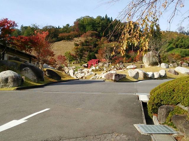 �V�R�̑傫�Ȋ₪�S���S��_�ꔨ����