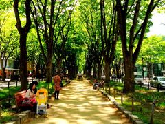 tʂETʂ̃PL؂̎ʐ^1