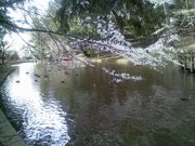 kakashimamåԁXc̓eʐ^2