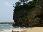 �܂����B����̌ܗ������̓��e�ʐ^1