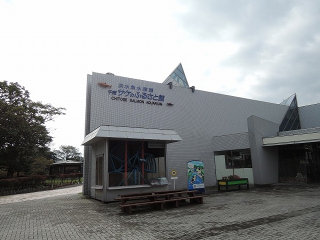 �O��_�T�P�̂ӂ邳�Ɛ�ΐ�����