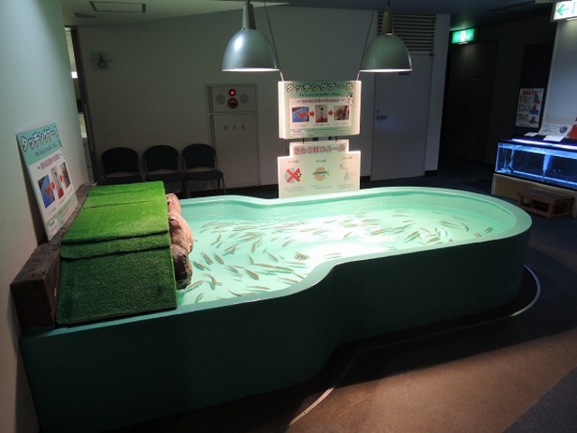 �{��_�T�P�̂ӂ邳�Ɛ�ΐ�����