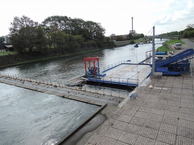 �C���f�B�A�����ԁi�T�P�̕ߋ��ԁj