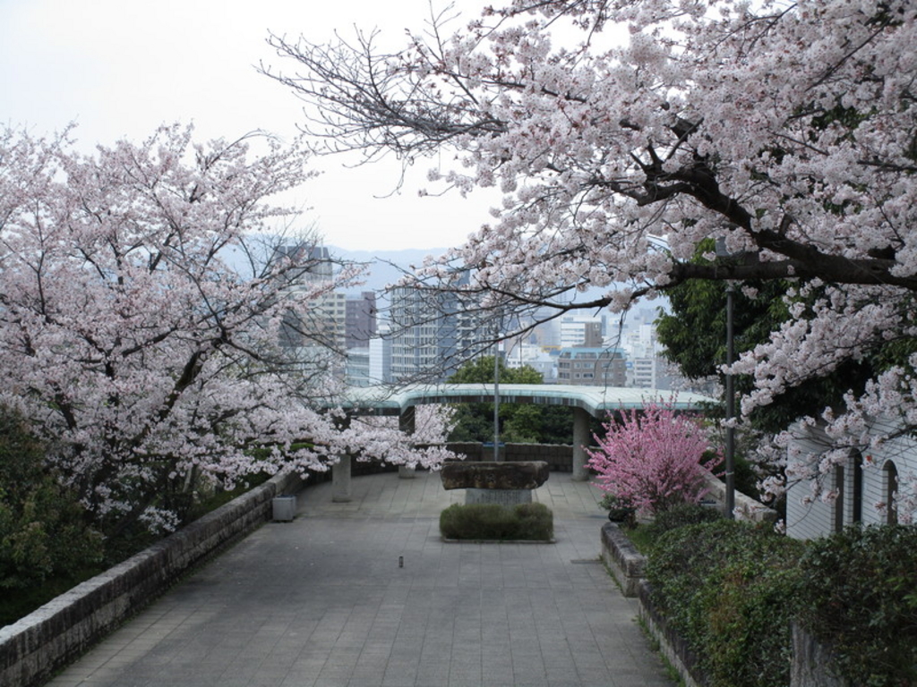 神戸三太郎「一輪の花」