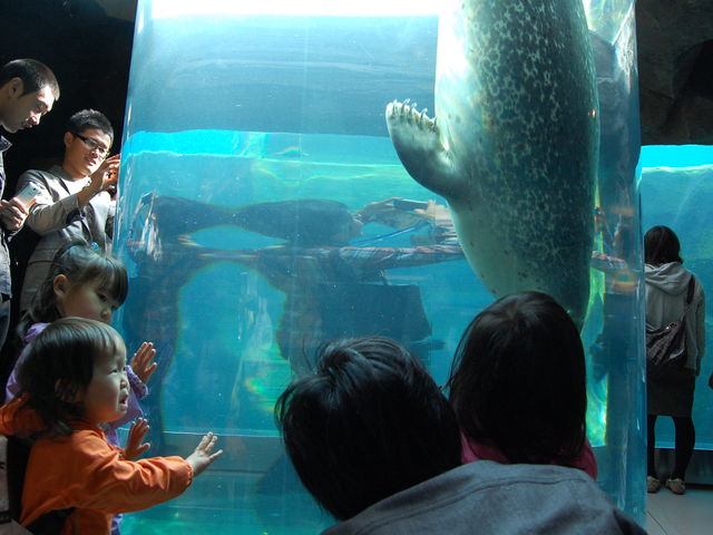 ���R������