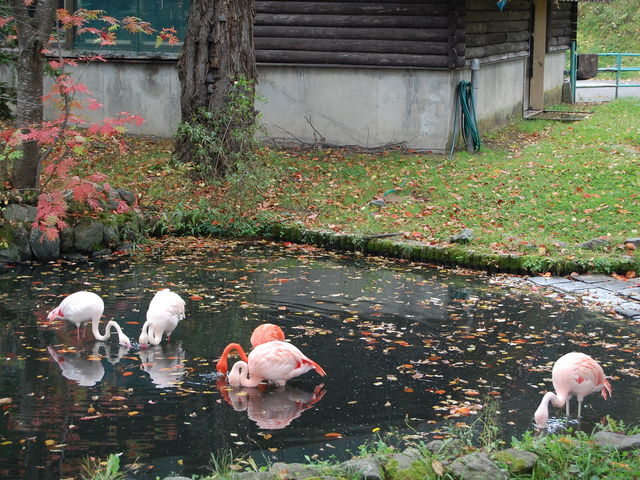 ���R������