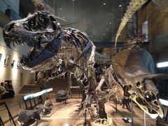 北九州市立いのちのたび博物館の写真一覧 - じゃらんnet