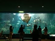 ȂȂʂ̘a̎RRق̓eʐ^1