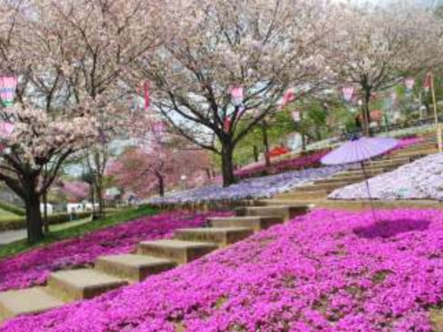 ȂIW̐Õӂ邳ƌ̓eʐ^3