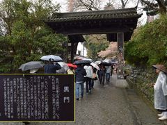 pxk11416̑{R@Rւ̓eʐ^2