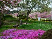 ȂIW̐Õӂ邳ƌ̓eʐ^2