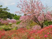 ȂIW̐Õӂ邳ƌ̓eʐ^4