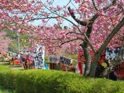 ȂIW̐Õӂ邳ƌ̓eʐ^5