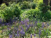 �^�J����̓��c���̓��e�ʐ^1