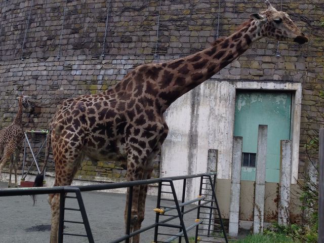 �L��������_�~�R������