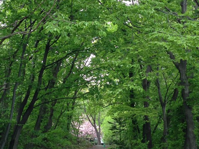 �X�̓��c✨_�~�R������