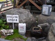 ڂ񂳂̔MقƂς[̓eʐ^3