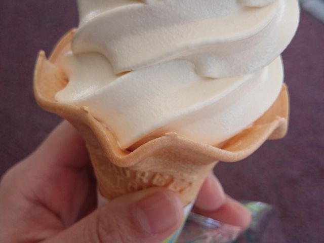 �K���W�[�t�@�[��