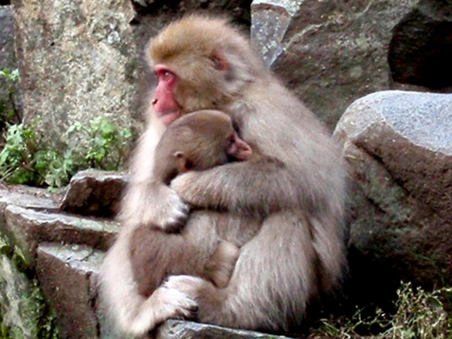 �n���J����