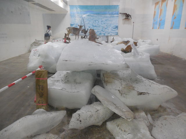 �@�J���W�]��