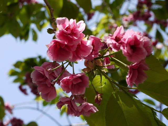 ������_���O�����̍�