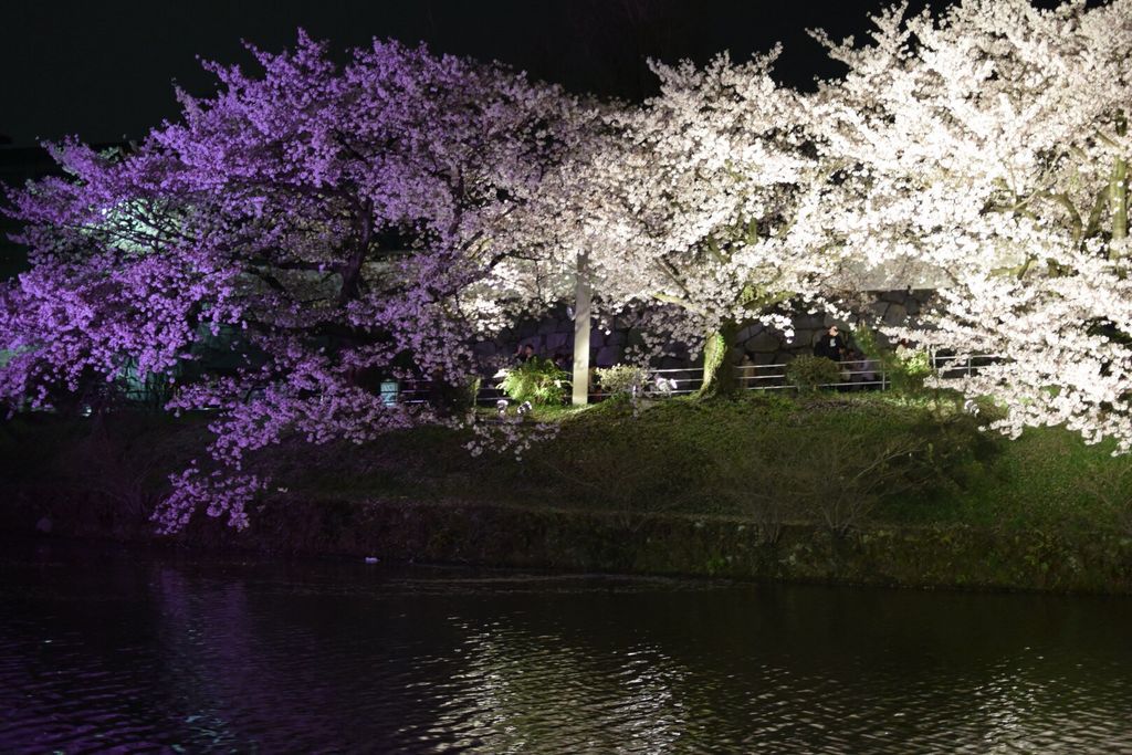 春が来た 絶対行くべき福岡の花見スポット8選 開花見頃予想も じゃらんニュース