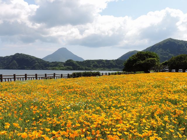 綺麗です_池田湖
