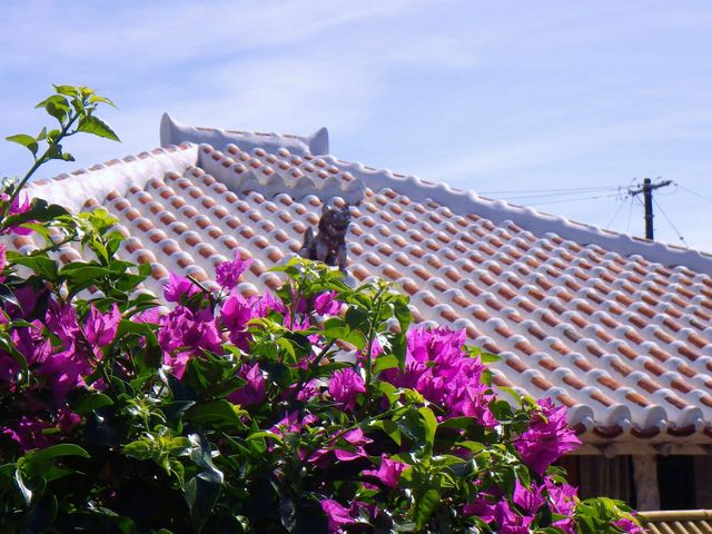 �V�[�T�[�̉��ɂ͐�c�l���Ղ��Ă��邻���ł��B_�|�x��