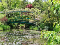 kazu񂳂̃K[f~[WAbւ̓eʐ^1