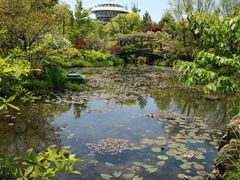 kazu񂳂̃K[f~[WAbւ̓eʐ^2