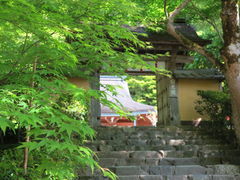kazuさんさんの寂光院（京都府京都市）の投稿写真1