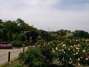 akëܖsLȋߑpق̓eʐ^2