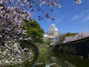 肿񂳂̕PH̍̓eʐ^1