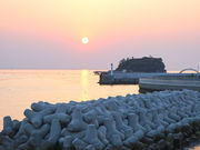 Ƃ񂳂̓삠킶sێRCނ̓eʐ^1