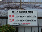 kingtut̖~W]̓eʐ^2