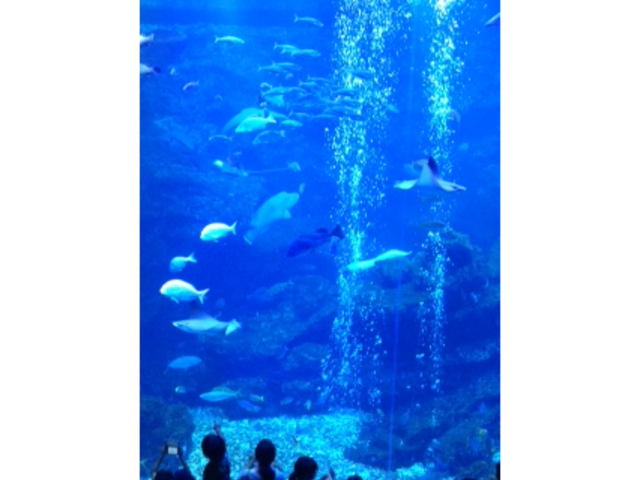 ���s������