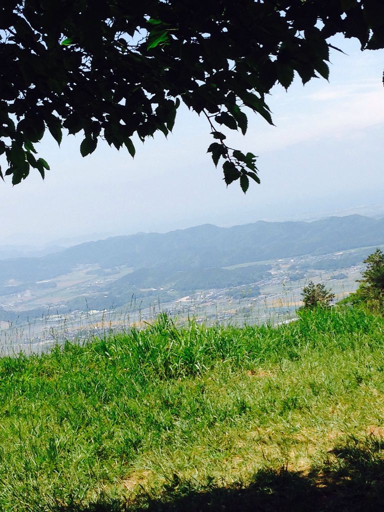 伊吹山