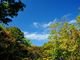 タックさんの那須平成の森の投稿写真1
