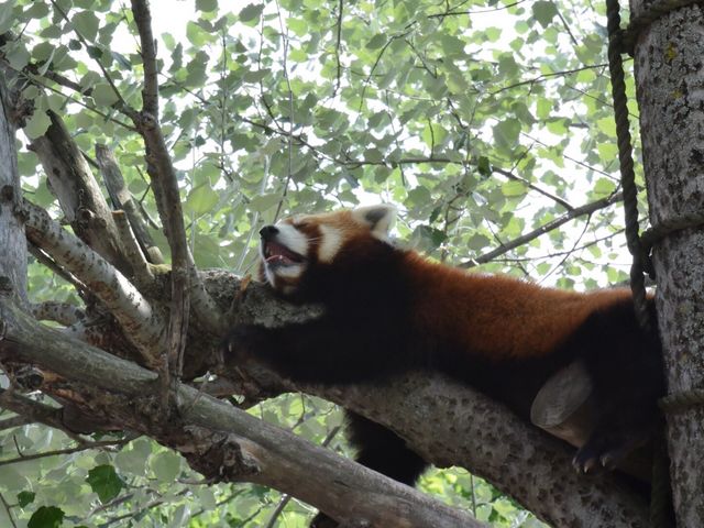 �����������b�T�[�p���__���R������