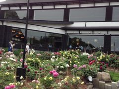 �ɂ����a ���M�M�o�ق̎ʐ^1