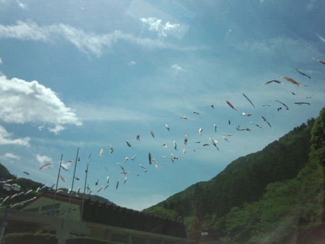 ��̂ڂ肪��������!!_�_�肢�����̑��O���[���G�R�[�}�`