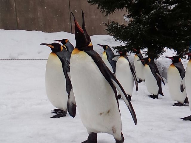 ���R������